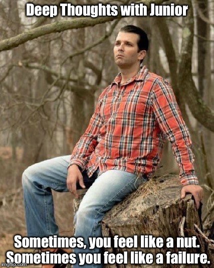 Junior | Deep Thoughts with Junior; Sometimes, you feel like a nut. Sometimes you feel like a failure. | image tagged in donald trump | made w/ Imgflip meme maker