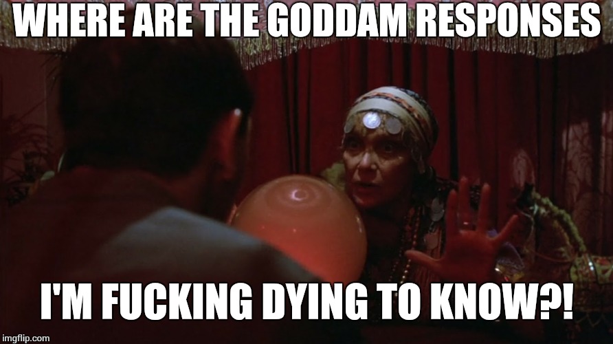 madam ruby says | WHERE ARE THE GODDAM RESPONSES I'M F**KING DYING TO KNOW?! | image tagged in madam ruby says | made w/ Imgflip meme maker