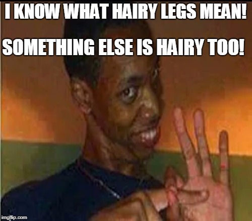 I KNOW WHAT HAIRY LEGS MEAN! SOMETHING ELSE IS HAIRY TOO! | made w/ Imgflip meme maker