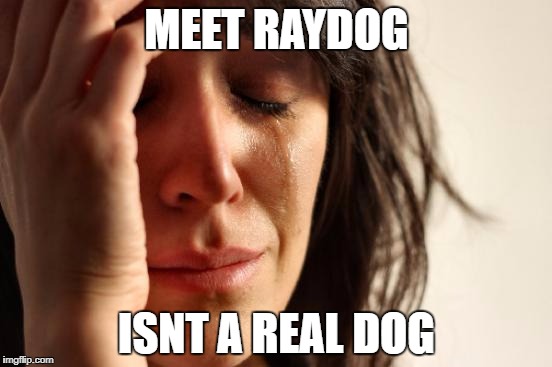 First World Problems | MEET RAYDOG; ISNT A REAL DOG | image tagged in memes,first world problems | made w/ Imgflip meme maker