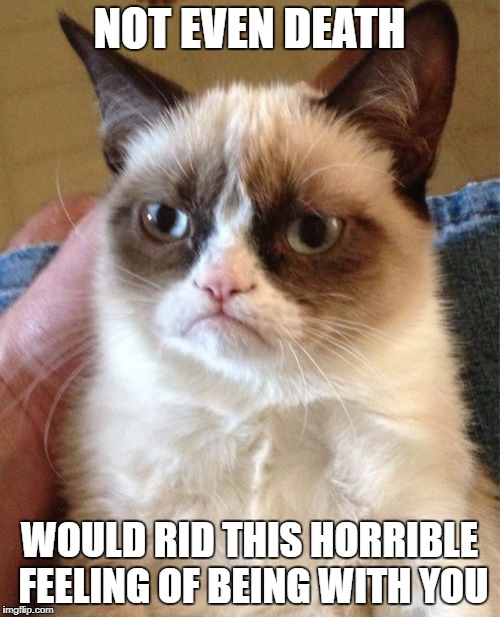Grumpy Cat Meme | NOT EVEN DEATH WOULD RID THIS HORRIBLE FEELING OF BEING WITH YOU | image tagged in memes,grumpy cat | made w/ Imgflip meme maker