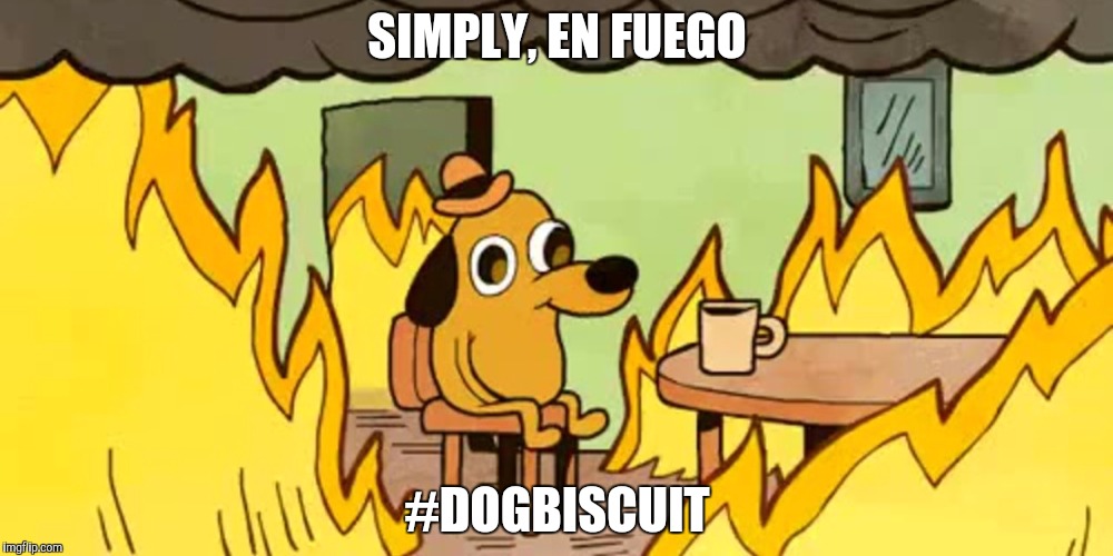 A dog listening to the Dan Patrick Show | SIMPLY, EN FUEGO; #DOGBISCUIT | image tagged in dog on fire | made w/ Imgflip meme maker