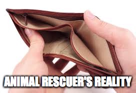 no money | ANIMAL RESCUER'S REALITY | image tagged in no money | made w/ Imgflip meme maker