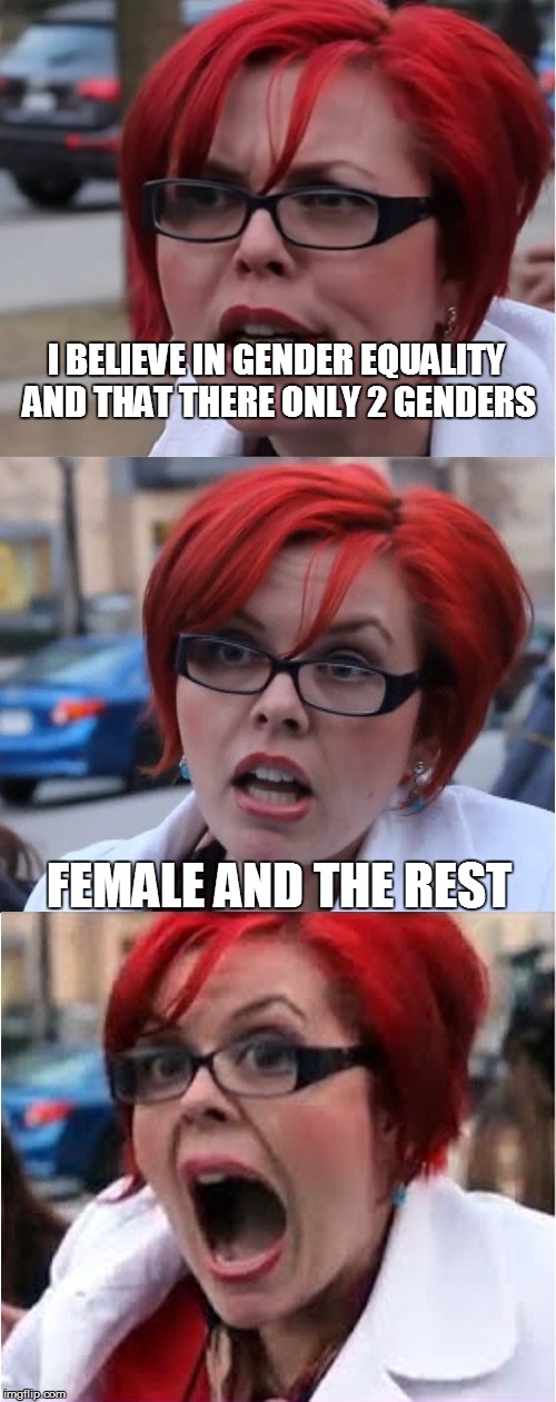 Big Red Feminist pun | I BELIEVE IN GENDER EQUALITY AND THAT THERE ONLY 2 GENDERS; FEMALE AND THE REST | image tagged in big red feminist pun | made w/ Imgflip meme maker
