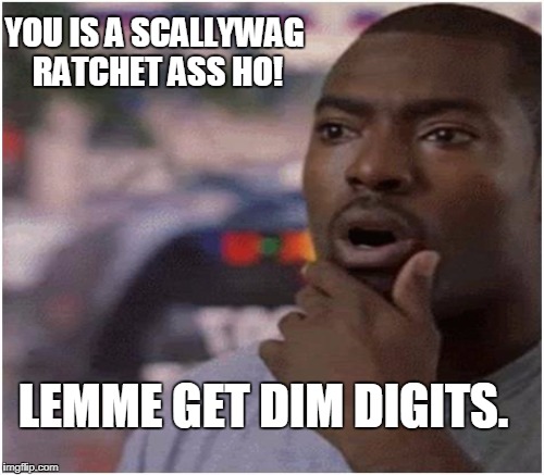 YOU IS A SCALLYWAG RATCHET ASS HO! LEMME GET DIM DIGITS. | made w/ Imgflip meme maker