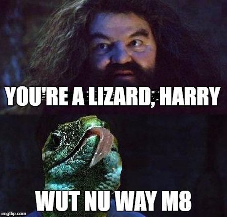 YAY UNFUNNINESS! | YOU'RE A LIZARD, HARRY; WUT NU WAY M8 | image tagged in harry potter | made w/ Imgflip meme maker