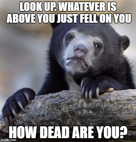 I had no idea for the template for this. | LOOK UP. WHATEVER IS ABOVE YOU JUST FELL ON YOU; HOW DEAD ARE YOU? | image tagged in memes,confession bear | made w/ Imgflip meme maker
