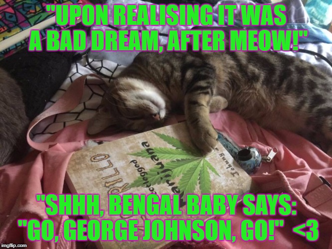 "UPON REALISING IT WAS A BAD DREAM, AFTER MEOW!"; "SHHH, BENGAL BABY SAYS: "GO, GEORGE JOHNSON, GO!"  <3 | image tagged in upon realising it was a bad dream aftermeow go george johnson | made w/ Imgflip meme maker