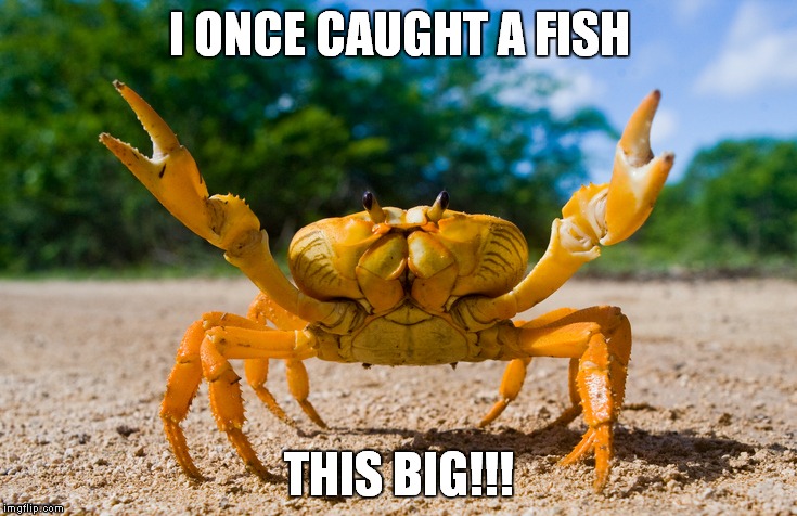 Dave The Crab | I ONCE CAUGHT A FISH; THIS BIG!!! | image tagged in crab,fish | made w/ Imgflip meme maker
