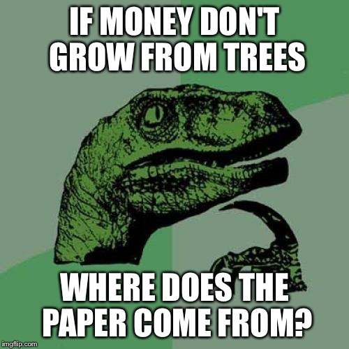 Philosoraptor Meme | IF MONEY DON'T GROW FROM TREES; WHERE DOES THE PAPER COME FROM? | image tagged in memes,philosoraptor | made w/ Imgflip meme maker