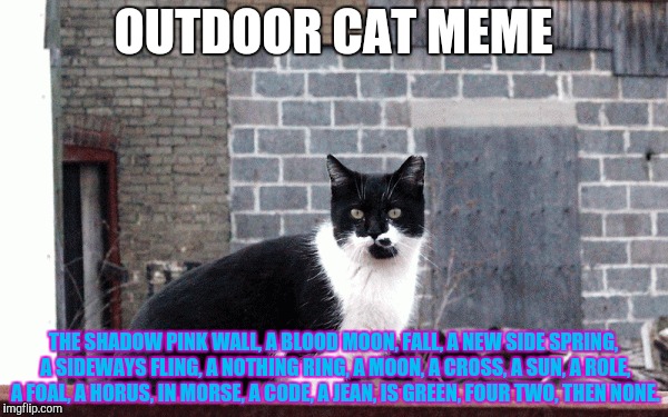 OUTDOOR CAT MEME THE SHADOW PINK WALL, A BLOOD MOON, FALL, A NEW SIDE SPRING, A SIDEWAYS FLING, A NOTHING RING, A MOON, A CROSS, A SUN, A RO | made w/ Imgflip meme maker