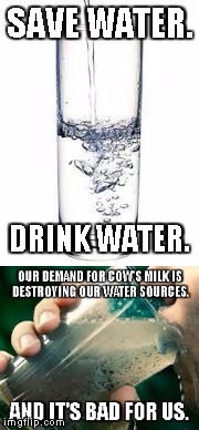SAVE WATER | image tagged in water,milk,environment,health,climate change,dairy | made w/ Imgflip meme maker
