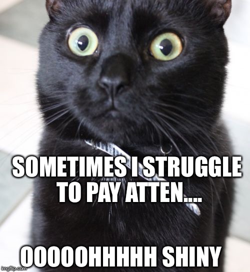 Woah Kitty | SOMETIMES I STRUGGLE TO PAY ATTEN.... OOOOOHHHHH SHINY | image tagged in memes,woah kitty | made w/ Imgflip meme maker