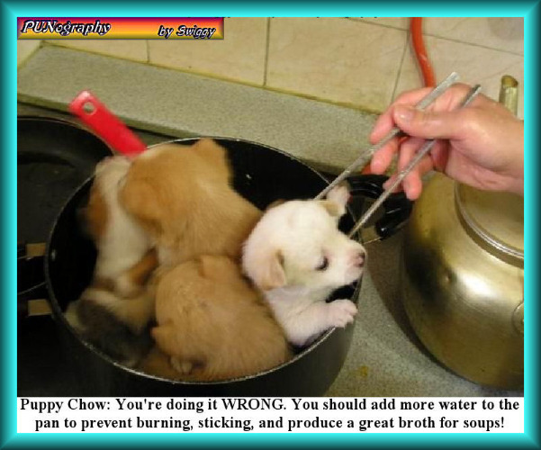 I understand Raydog avoids this restaurant | PUPPY CHOW: YOU'RE DOING IT WRONG. YOU SHOULD ADD MORE WATER TO THE PAN TO PREVENT BURNING, STICKING, AND PRODUCE A GREAT BROTH FOR SOUPS! | image tagged in memes,punography,cute puppies,dog food,recipe,ingredients | made w/ Imgflip meme maker