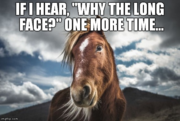 Horses have feelings. | IF I HEAR, "WHY THE LONG FACE?" ONE MORE TIME... | image tagged in horse face | made w/ Imgflip meme maker