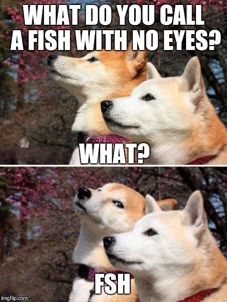 shiba bad joke |  WHAT DO YOU CALL A FISH WITH NO EYES? WHAT? FSH | image tagged in shiba bad joke | made w/ Imgflip meme maker
