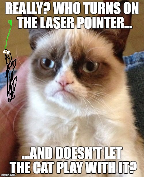 Grumpy Cat | REALLY? WHO TURNS ON  THE LASER POINTER... ...AND DOESN'T LET THE CAT PLAY WITH IT? | image tagged in memes,grumpy cat | made w/ Imgflip meme maker