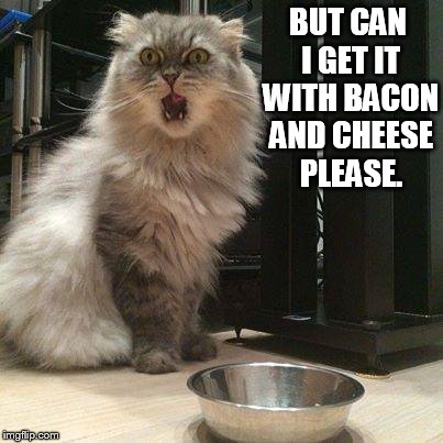 BUT CAN I GET IT WITH BACON AND CHEESE PLEASE. | made w/ Imgflip meme maker
