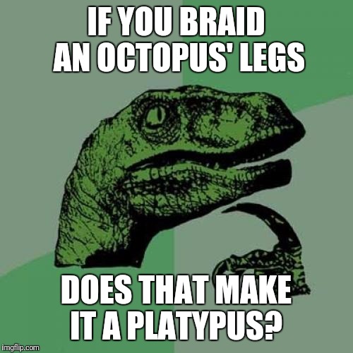 Philosoraptor | IF YOU BRAID AN OCTOPUS' LEGS; DOES THAT MAKE IT A PLATYPUS? | image tagged in memes,philosoraptor | made w/ Imgflip meme maker