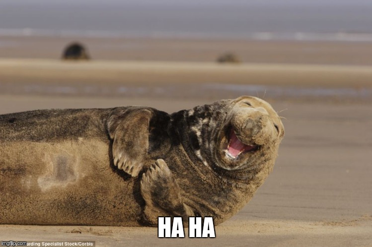 HA HA | made w/ Imgflip meme maker