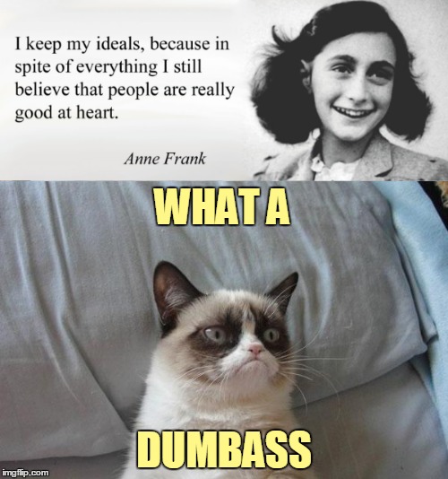 Anne Frankly my dear I don't give a d*mn | WHAT A; DUMBASS | image tagged in memes,grumpy cat,anne frank,dank,dank memes,observations about human nature | made w/ Imgflip meme maker