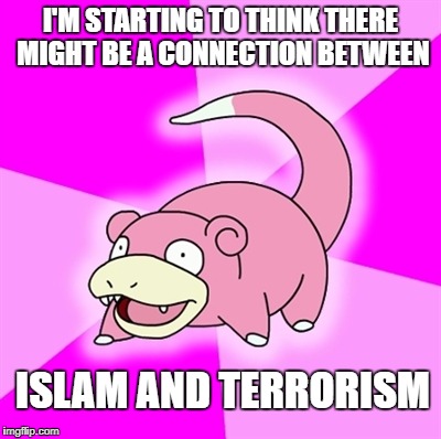 Do you think? | I'M STARTING TO THINK THERE MIGHT BE A CONNECTION BETWEEN; ISLAM AND TERRORISM | image tagged in slowpoke | made w/ Imgflip meme maker