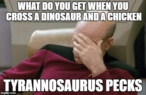 Captain Picard Facepalm | WHAT DO YOU GET WHEN YOU CROSS A DINOSAUR AND A CHICKEN; TYRANNOSAURUS PECKS | image tagged in memes,captain picard facepalm | made w/ Imgflip meme maker