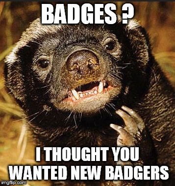 honey badger  | BADGES ? I THOUGHT YOU WANTED NEW BADGERS | image tagged in honey badger | made w/ Imgflip meme maker