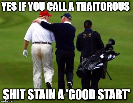 More Shit to do | YES IF YOU CALL A TRAITOROUS SHIT STAIN A 'GOOD START' | image tagged in more shit to do | made w/ Imgflip meme maker