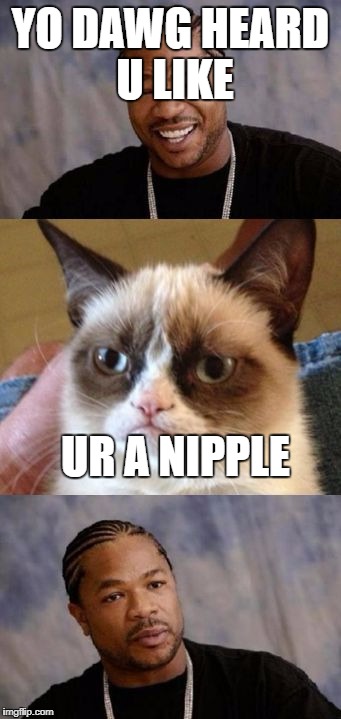 Yo dawg no | YO DAWG HEARD U LIKE; UR A NIPPLE | image tagged in yo dawg no | made w/ Imgflip meme maker