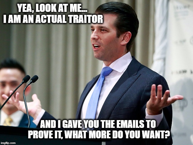 What Else Jr? | YEA, LOOK AT ME... I AM AN ACTUAL TRAITOR AND I GAVE YOU THE EMAILS TO PROVE IT, WHAT MORE DO YOU WANT? | image tagged in what else jr | made w/ Imgflip meme maker