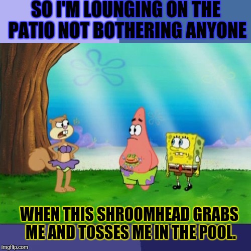 SO I'M LOUNGING ON THE PATIO NOT BOTHERING ANYONE WHEN THIS SHROOMHEAD GRABS ME AND TOSSES ME IN THE POOL. | made w/ Imgflip meme maker