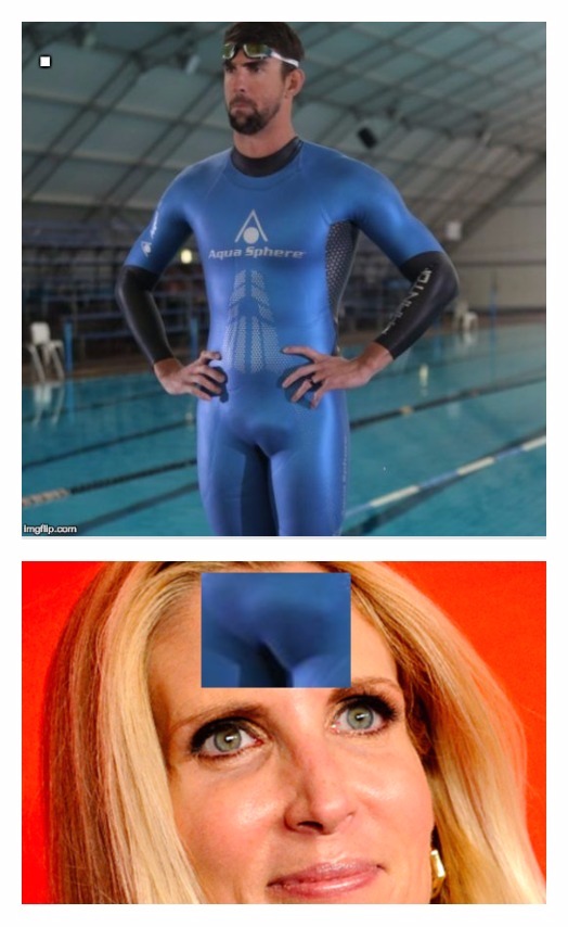 Ann Coulter Michael Phelps dick face Blank Meme Template