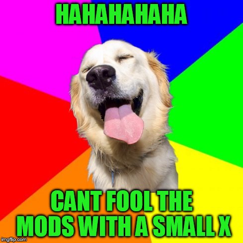 Anti Pun Dog | HAHAHAHAHA CANT FOOL THE MODS WITH A SMALL X | image tagged in anti pun dog | made w/ Imgflip meme maker