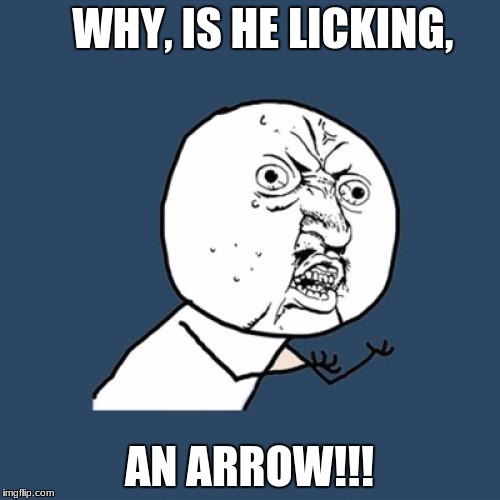 Y U No Meme | WHY, IS HE LICKING, AN ARROW!!! | image tagged in memes,y u no | made w/ Imgflip meme maker