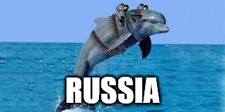 military dolphin | RUSSIA | image tagged in military dolphin | made w/ Imgflip meme maker