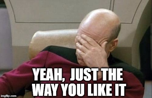 Captain Picard Facepalm Meme | YEAH,  JUST THE WAY YOU LIKE IT | image tagged in memes,captain picard facepalm | made w/ Imgflip meme maker