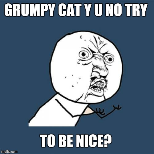 Y U No Meme | GRUMPY CAT Y U NO TRY TO BE NICE? | image tagged in memes,y u no | made w/ Imgflip meme maker