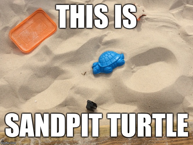 WERE GOING NOWHERE | THIS IS; SANDPIT TURTLE | image tagged in sandpit turtle,funny memes | made w/ Imgflip meme maker