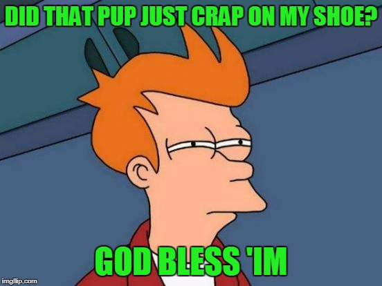 Futurama Fry Meme | DID THAT PUP JUST CRAP ON MY SHOE? GOD BLESS 'IM | image tagged in memes,futurama fry | made w/ Imgflip meme maker