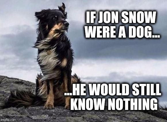 GOT, if Jon Snow was a dog... | IF JON SNOW WERE A DOG... ...HE WOULD STILL KNOW NOTHING | image tagged in epic dog,game of thrones | made w/ Imgflip meme maker