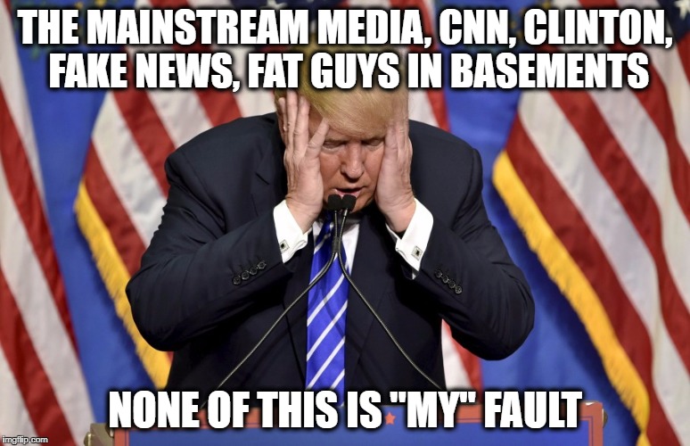 Cry baby Trump | THE MAINSTREAM MEDIA, CNN, CLINTON, FAKE NEWS, FAT GUYS IN BASEMENTS NONE OF THIS IS "MY" FAULT | image tagged in cry baby trump | made w/ Imgflip meme maker