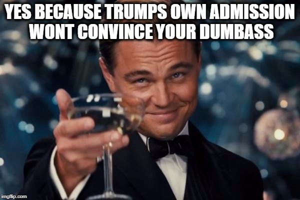 Leonardo Dicaprio Cheers Meme | YES BECAUSE TRUMPS OWN ADMISSION WONT CONVINCE YOUR DUMBASS | image tagged in memes,leonardo dicaprio cheers | made w/ Imgflip meme maker