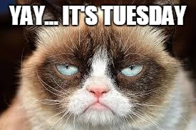 not funny | YAY... IT'S TUESDAY | image tagged in not funny | made w/ Imgflip meme maker