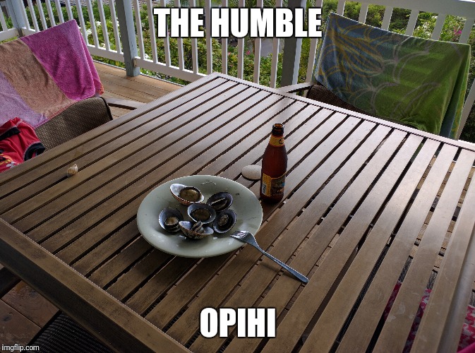 THE HUMBLE OPIHI | made w/ Imgflip meme maker