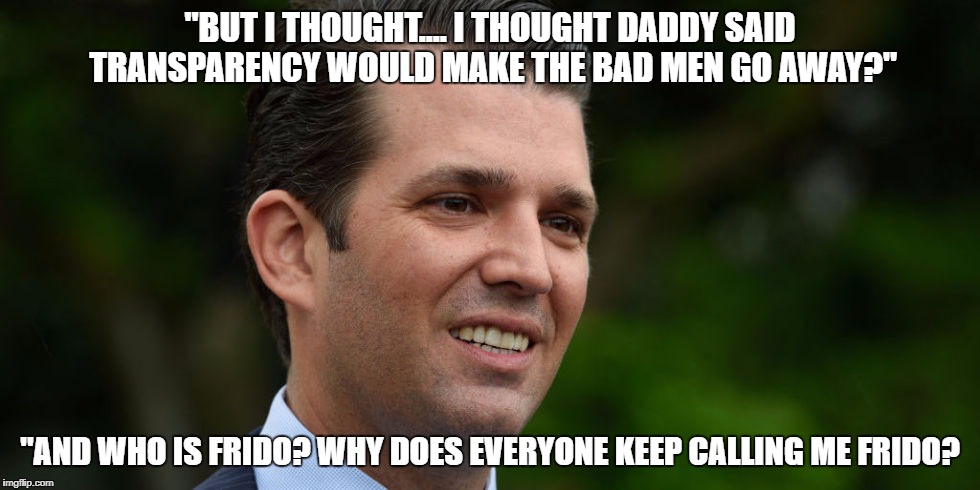 "BUT I THOUGHT.... I THOUGHT DADDY SAID TRANSPARENCY WOULD MAKE THE BAD MEN GO AWAY?"; "AND WHO IS FRIDO? WHY DOES EVERYONE KEEP CALLING ME FRIDO? | image tagged in donald trump jr,frido,treason | made w/ Imgflip meme maker