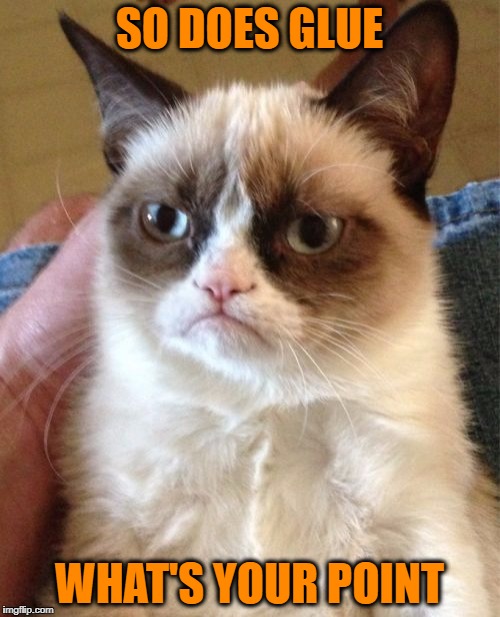 Grumpy Cat Meme | SO DOES GLUE WHAT'S YOUR POINT | image tagged in memes,grumpy cat | made w/ Imgflip meme maker