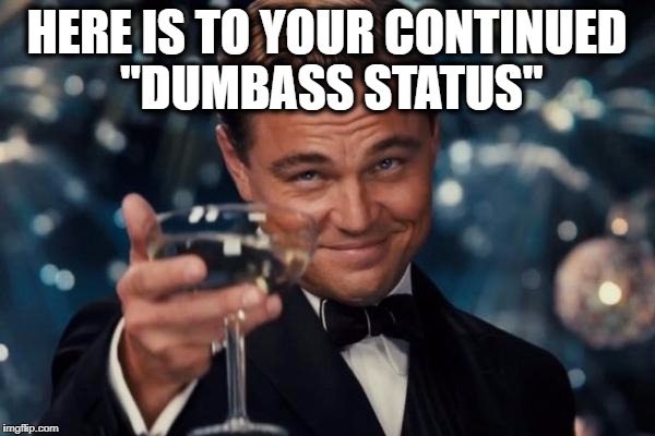 Leonardo Dicaprio Cheers Meme | HERE IS TO YOUR CONTINUED "DUMBASS STATUS" | image tagged in memes,leonardo dicaprio cheers | made w/ Imgflip meme maker
