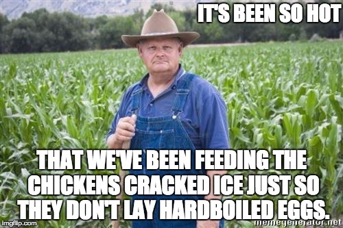 Farmer Mel | IT'S BEEN SO HOT; THAT WE'VE BEEN FEEDING THE CHICKENS CRACKED ICE JUST SO THEY DON'T LAY HARDBOILED EGGS. | image tagged in farmer mel | made w/ Imgflip meme maker