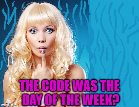 ditzy blonde | THE CODE WAS THE DAY OF THE WEEK? | image tagged in ditzy blonde | made w/ Imgflip meme maker